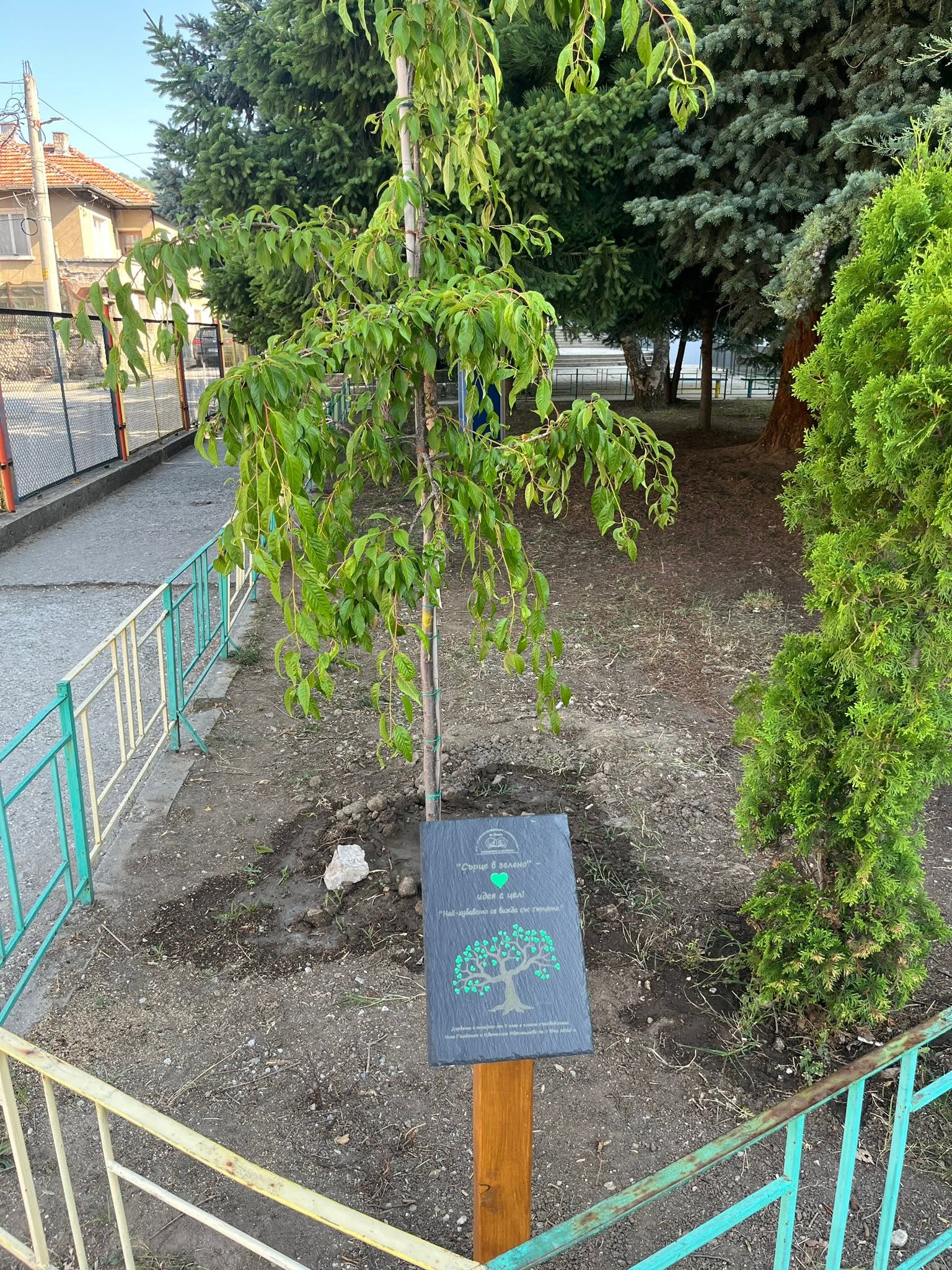 Каменна плоча за всеки повод